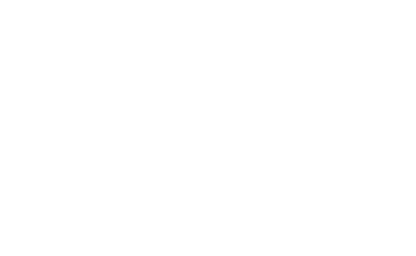 Kundenlogo Stadt Bad Homburg, Referenzkunde der Marketing-Agentur NEXAS Media