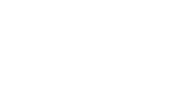 Kundenlogo Frankfurter Leben Gruppe, Referenzkunde der Marketing-Agentur NEXAS Media