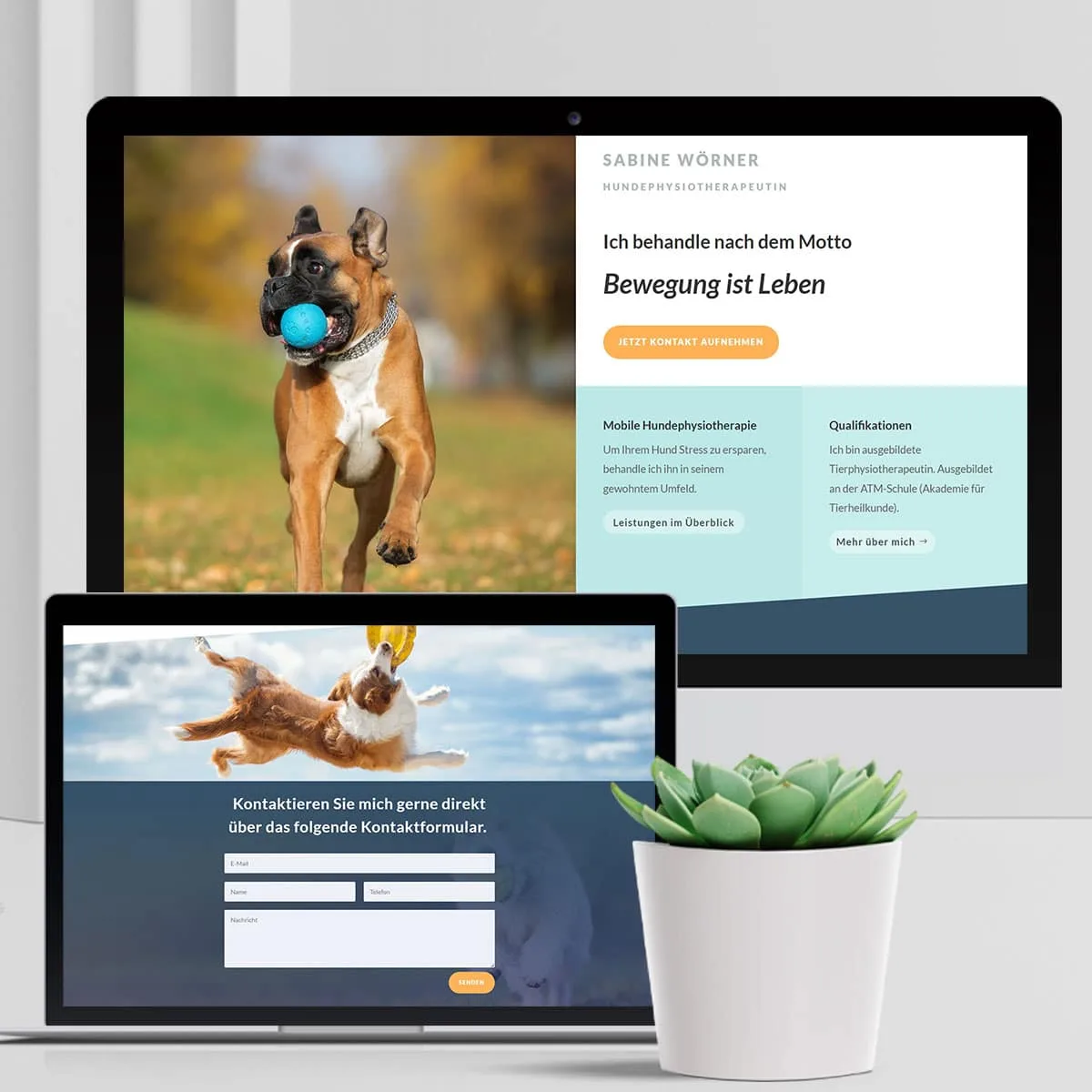 Social-Media-Grafik zur Website der Hundephysiotherapie Sabine Wörner, Webdesign von NEXAS Media.