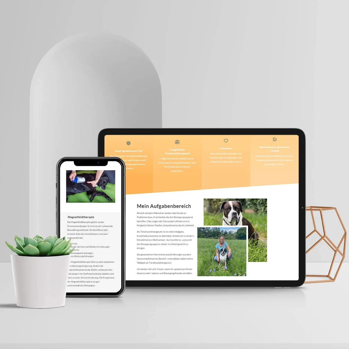 Social-Media-Grafik zur Website der Hundephysiotherapie Sabine Wörner, Webdesign von NEXAS Media.